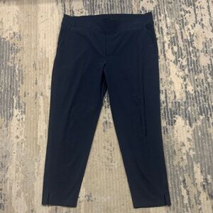 Athleta Dark Blue Ankle Pants